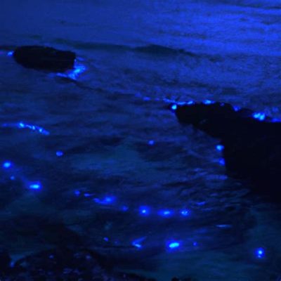  Veiled Cap: An Underwater Marvel Featuring Exquisite Translucency and Mesmerizing Bioluminescence